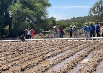 Instalan parcelas modelo para modernizar el riego en Hidalgo