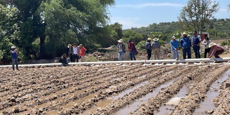 Instalan parcelas modelo para modernizar el riego en Hidalgo