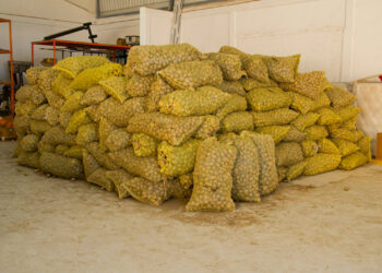 ¡Que la vida se lo multiplique! Productor dona toda su cosecha a familias afectadas por lluvias