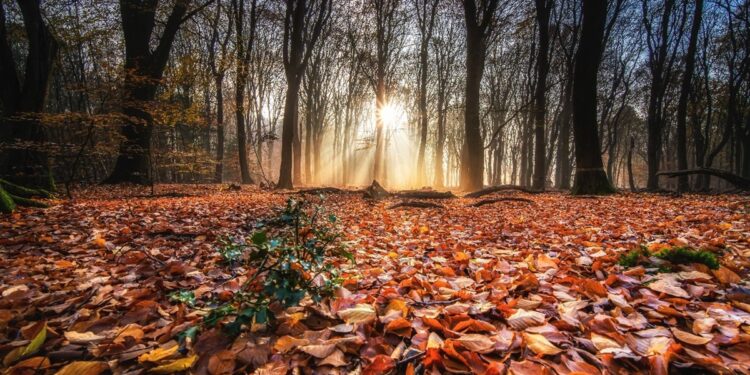 Incremento de lluvias y contrastes de temperatura en la primera quincena de octubre