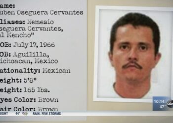 Mueren 25 elementos federales en operativo contra “El Mencho”; hay 30  delincuentes abatidos